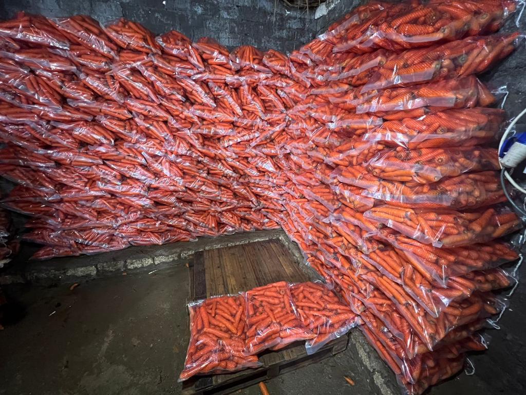 Product image - We are  ( Kemet farms )  here  in Egypt

we export all agricultural crops with high quality .

fresh carrot

● we can Delivery your request for any country

● Grade A

● packing : 10  kg bag

● for Orders please send your message call Us +201271817478

Or send Email : kemetfarmsdonia@gmail.com

● Export  manager

mrs/ Donia Mostafa
